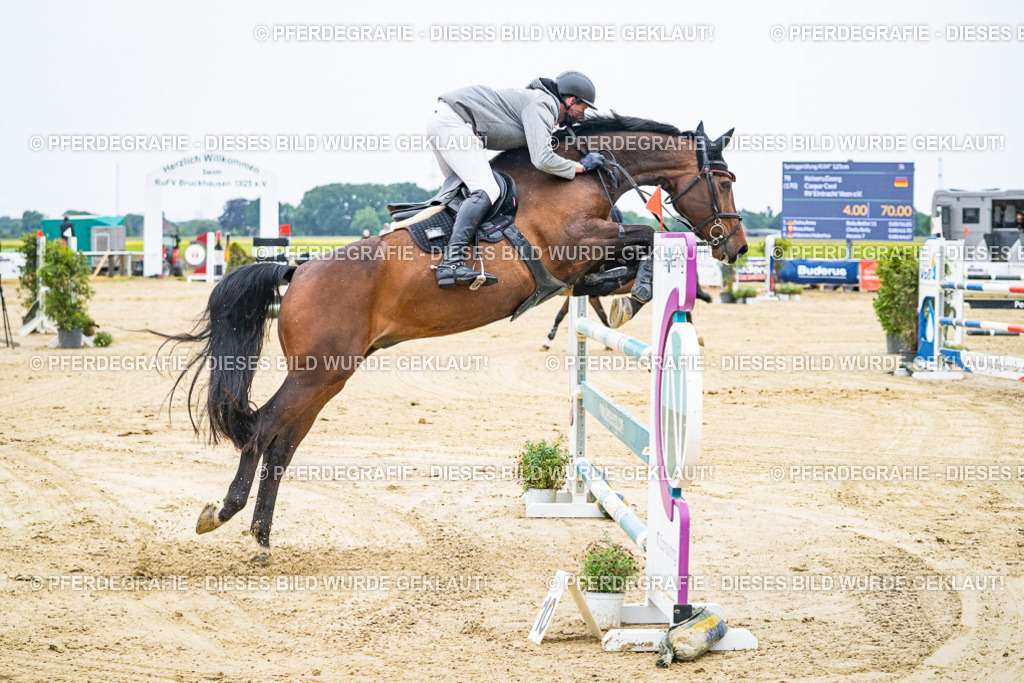 DSC09147 | Pferdegrafie