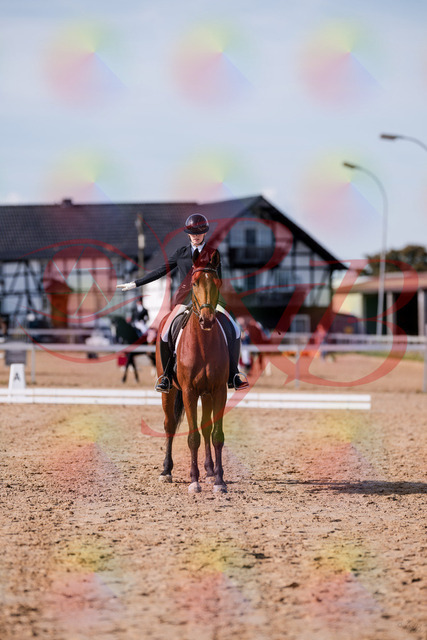2026_10_03_Siefer-Hof_130816_Z81_60248165 | Professionelle Reitsport-, Turnier- und Eventfotografie von Robert Broda. Galerien mit ausgewählten und bearbeiteten Bildern direkt online ansehen und bestellen.