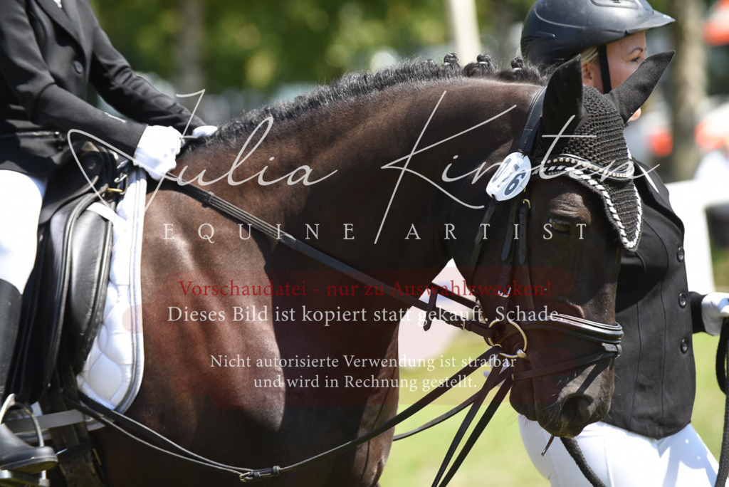 DSC_9767 | Pferde- und Turnierfotografie in Westsachsen. Pferdeportraits, Auftragszeichnungen und intuitive Kunst.