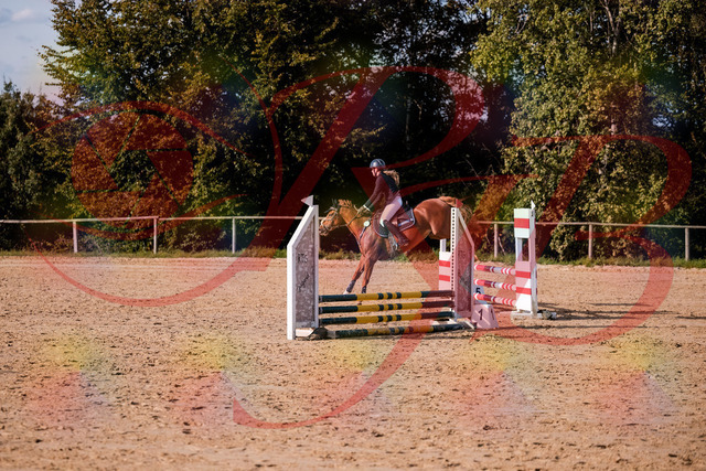 2026_10_03_Siefer-Hof_155815_Z81_78171883 | Professionelle Reitsport-, Turnier- und Eventfotografie von Robert Broda. Galerien mit ausgewählten und bearbeiteten Bildern direkt online ansehen und bestellen.