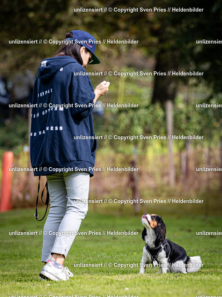 Sven Pries | 2024-09-22 - Hunderennen Baden-BadenPudelverein - Realisiert mit Pictrs.com