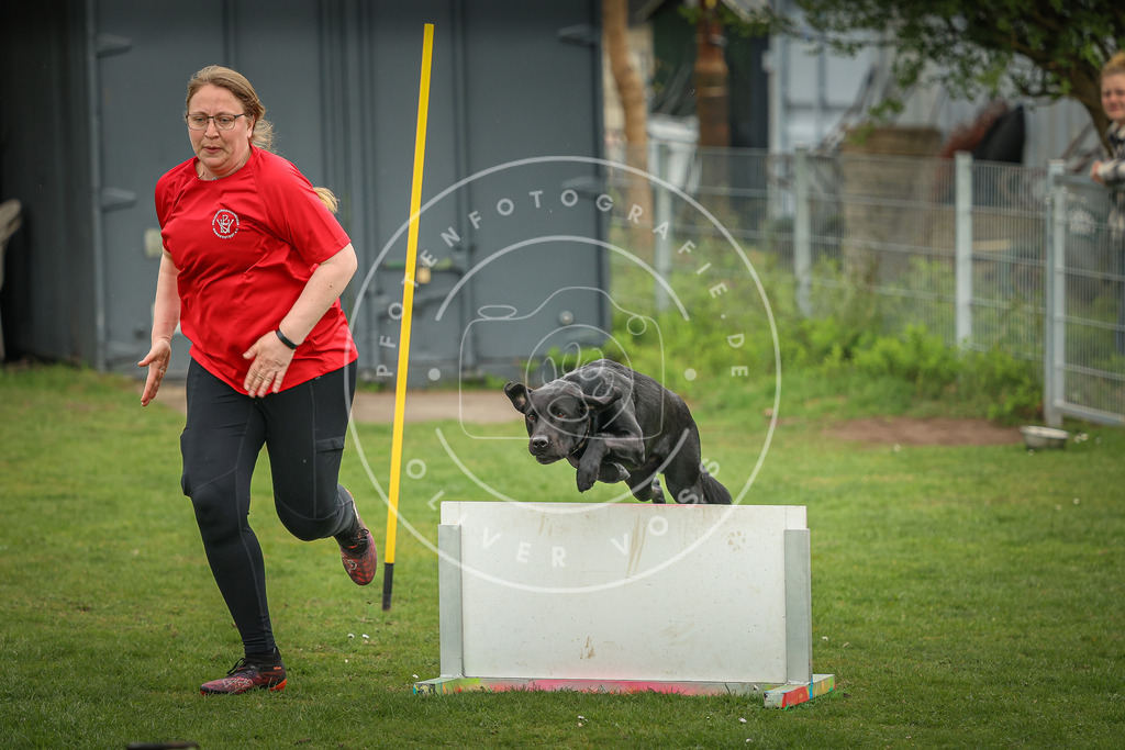 Pfotenfotografie_0L8A1061 | Hundefotografie, Tierfotograf, Pfotenfotografie, Fotoshooting Hund, Hunde Portrait, Hundesport, Hundeportraits, Heideshooting, Hunde, Sportfotograf, Hundefotograf, Turnierhundsport, THS,  - Realisiert mit Pictrs.com