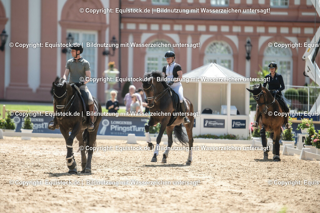 DSC_8036 | equistock