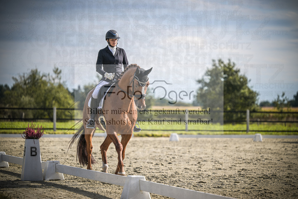 DOS_0880 | Entdecke hochwertige Reitturnierfotos von Foto Oger. Professionell, emotional und authentisch – jetzt Lieblingsmomente im Shop bestellen.Deutschlandweite Turnierfotografie. - Realisiert mit Pictrs.com