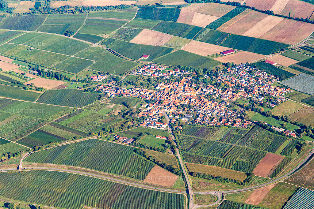 Luftbild: Ortsansicht von Süden in Impflingen im Bundesland Rheinland-Pfalz in Deutschland. Foto: IMG_143515.jpg vom 29.09.2024 durch Werner Riehm/FLY-FOTO.de