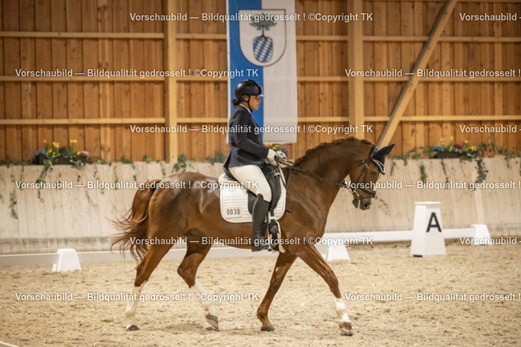 _D5A0752 | Emotionale Pferde- & People-Fotografie rund um Heidelberg, Leimen & Umgebung. Natürliche Fotos von Pferd, Mensch & Familie. Jetzt Termin sichern!