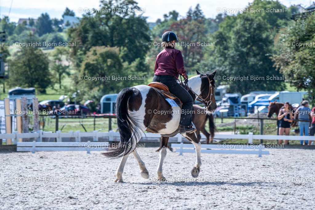 HOB08994 | BS-foto