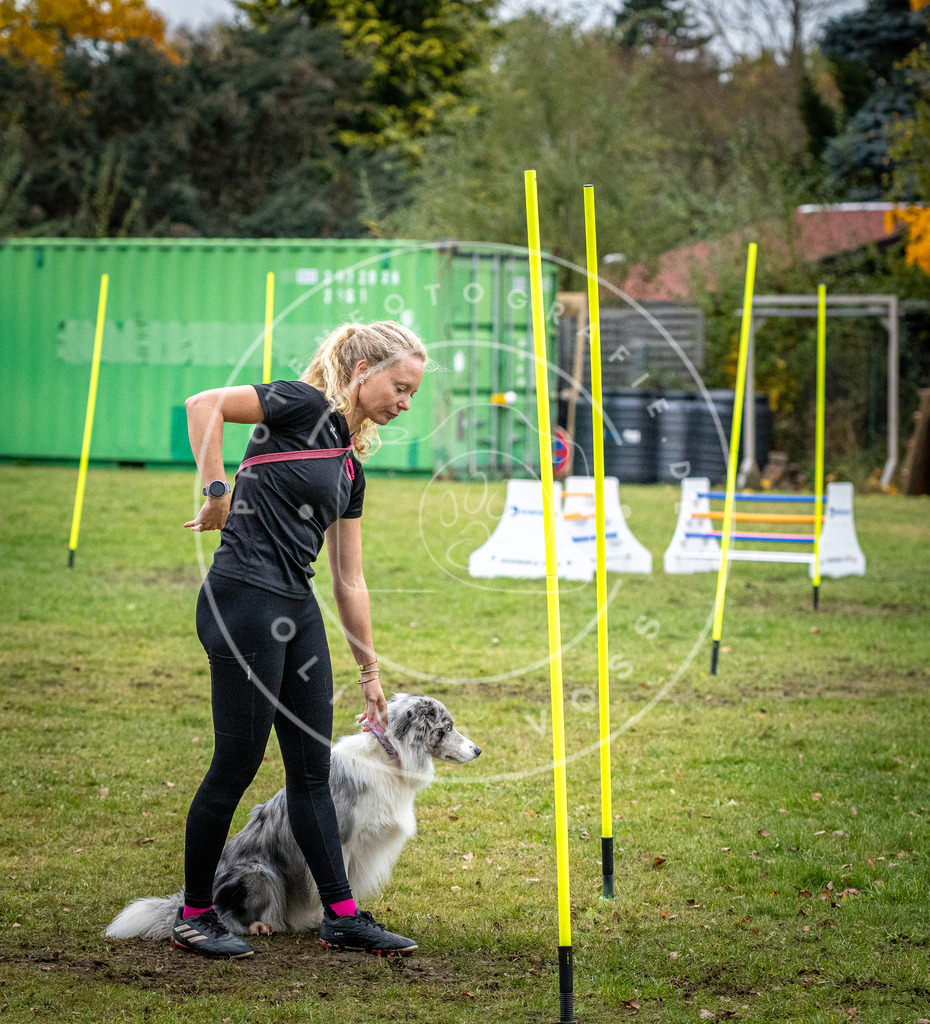 Pfotenfotografie_DV3A1307 | Hundefotografie, Tierfotograf, Pfotenfotografie, Fotoshooting Hund, Hunde Portrait, Hundesport, Hundeportraits, Heideshooting, Hunde, Sportfotograf, Hundefotograf, Turnierhundsport, THS,  - Realisiert mit Pictrs.com