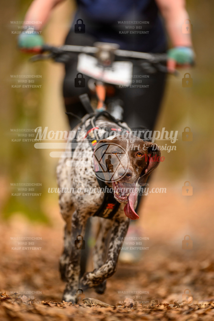 MompixPhotography_Habay2025_SA_Bike-182 | mompixphotography