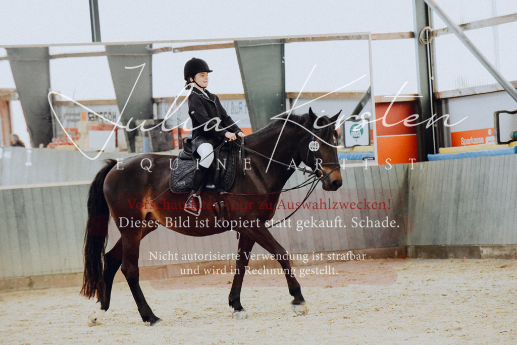 DSC_7245 | Pferde- und Turnierfotografie in Westsachsen. Pferdeportraits, Auftragszeichnungen und intuitive Kunst.