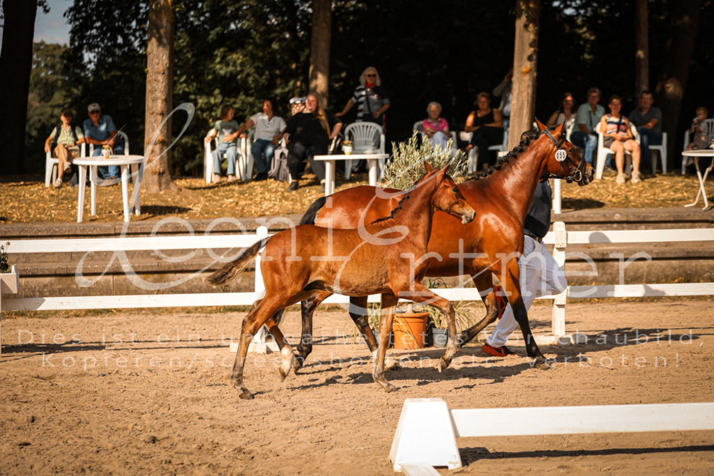 11.DoRP00122 | Leoni Ertmer Photography - Realisiert mit Pictrs.com