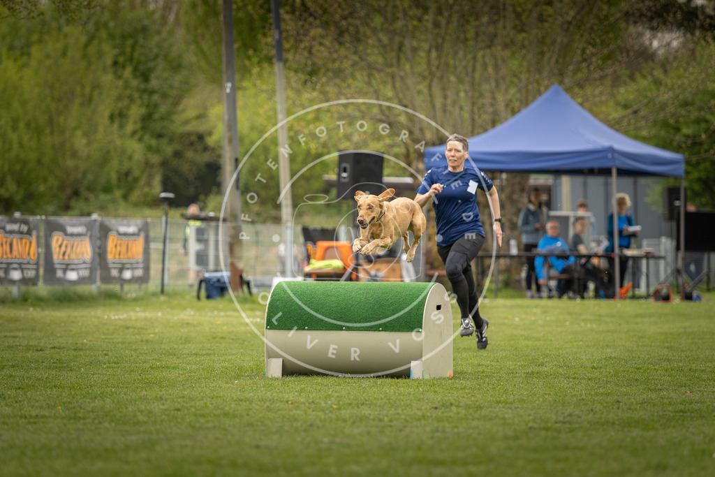 Pfotenfotografie_DV3A7041 | Hundefotografie, Tierfotograf, Pfotenfotografie, Fotoshooting Hund, Hunde Portrait, Hundesport, Hundeportraits, Heideshooting, Hunde, Sportfotograf, Hundefotograf, Turnierhundsport, THS,  - Realisiert mit Pictrs.com