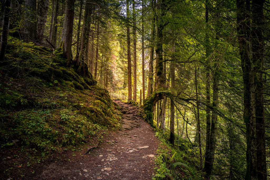 DSC_4372 | Tinu Müller Fotografie- Bildershop - Realisiert mit Pictrs.com