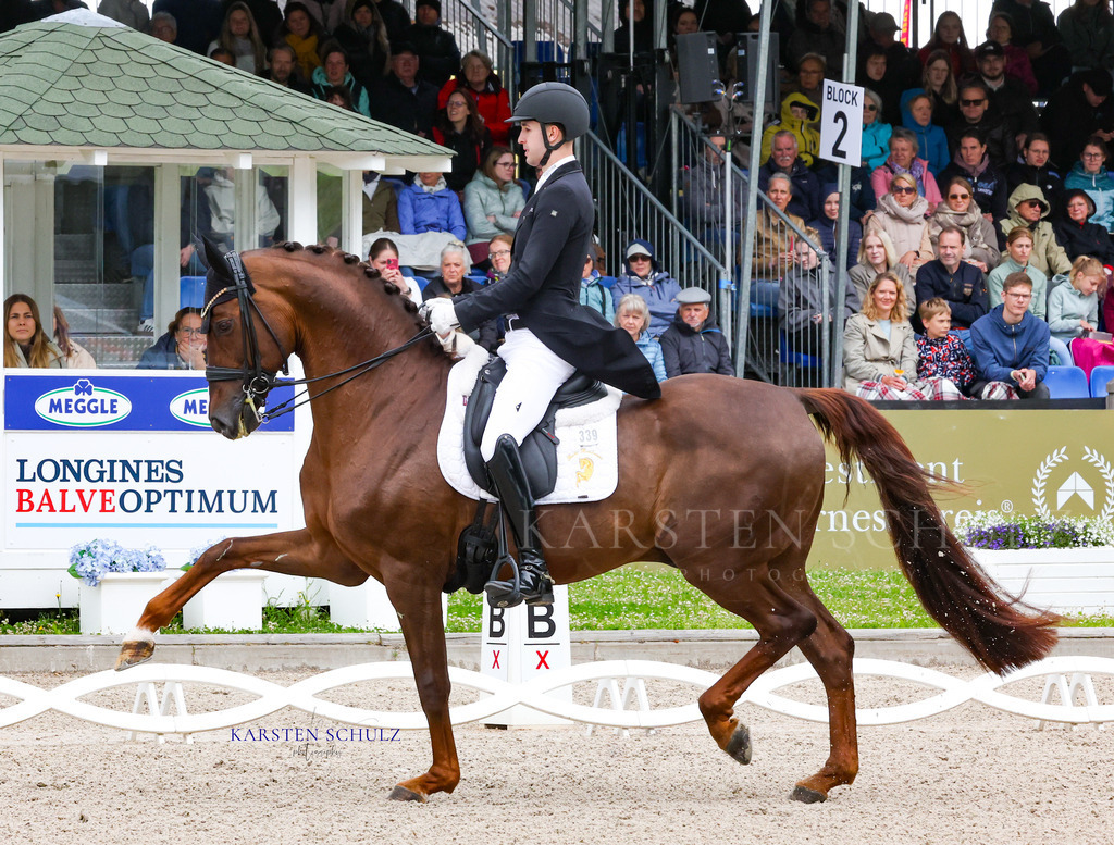 IMG_0122 | Reitsport Reiten