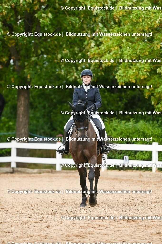 20230716_01_Dressurprüfung Kl.M_0406 | equistock