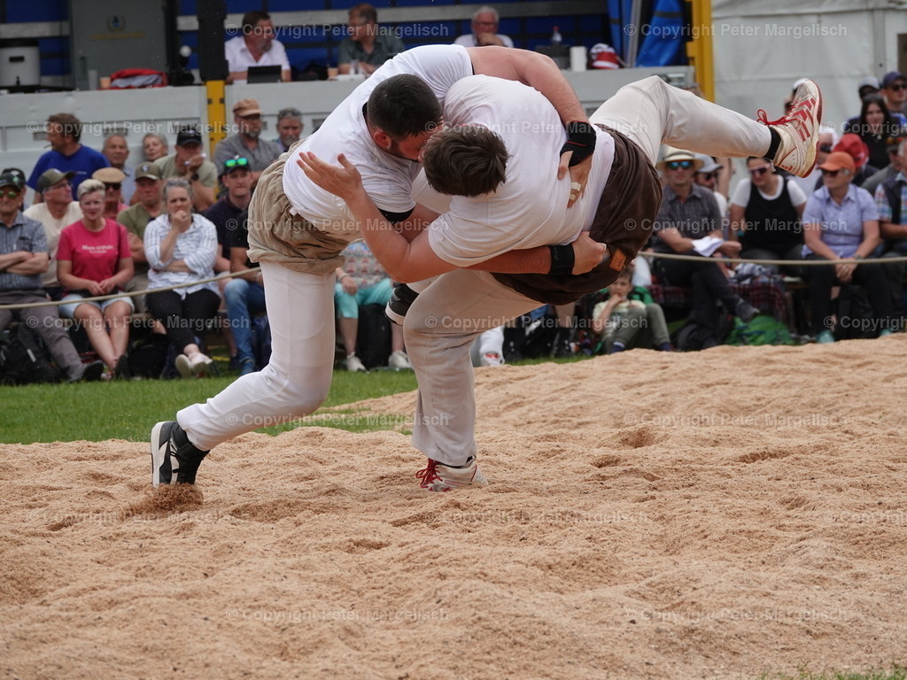 DSC07496 | Schwingen - Realisiert mit Pictrs.com