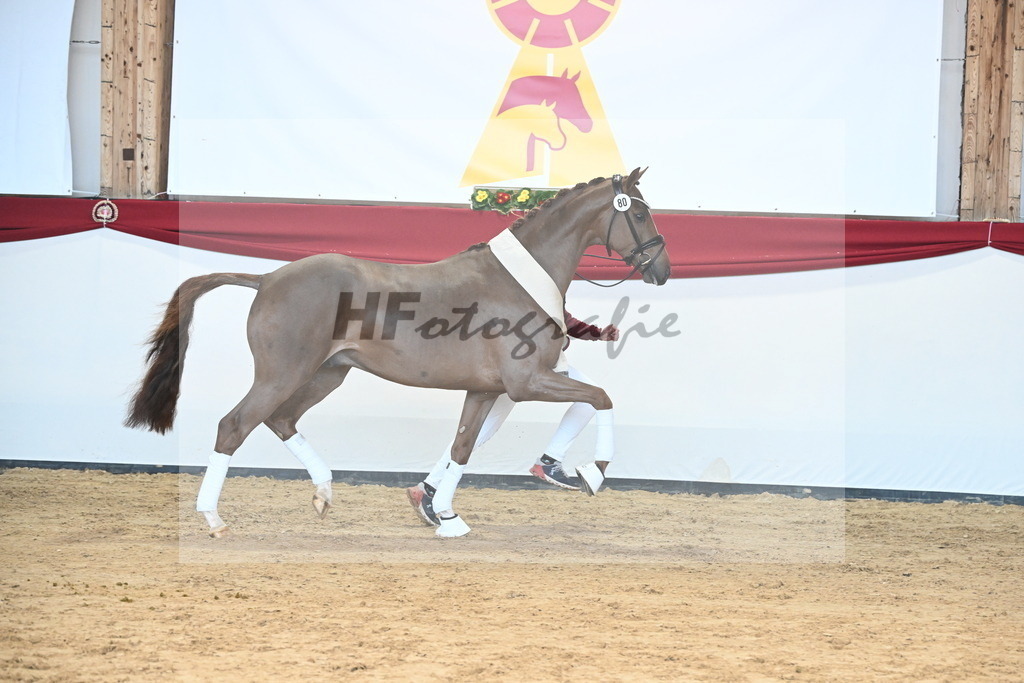 Kat.-Nr. 80 v. Vivino_Schepergerdes_2242889 | hf-fotografie - Realisiert mit Pictrs.com