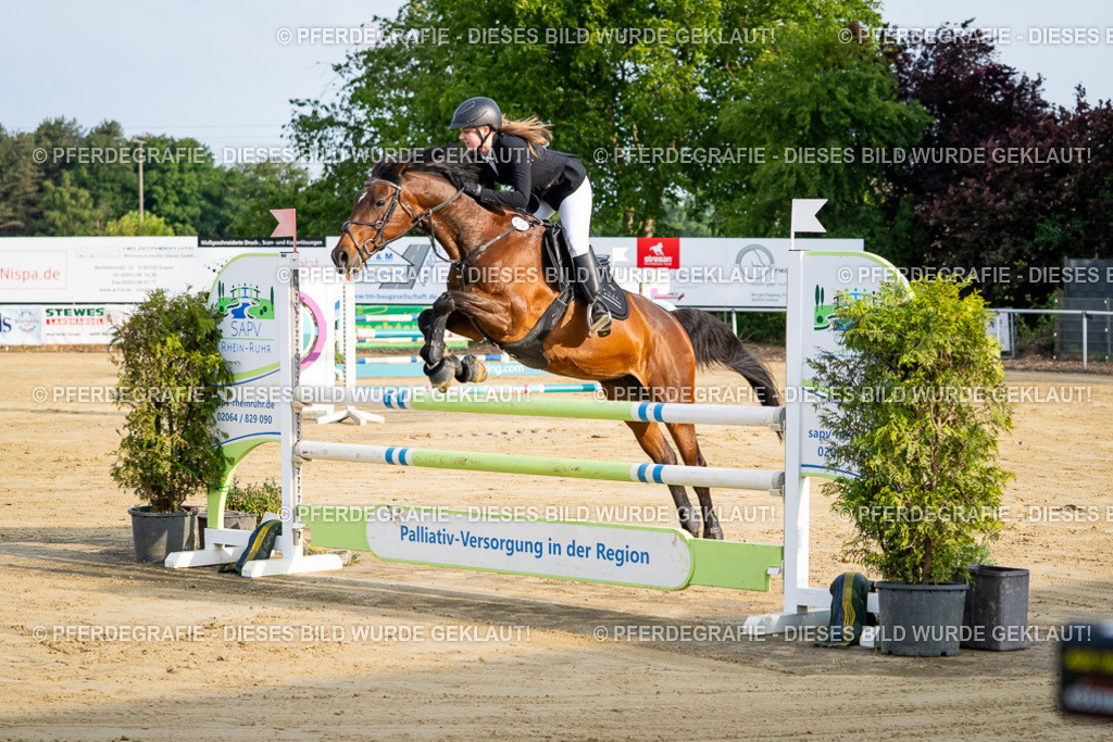 DSC02041 | Pferdegrafie