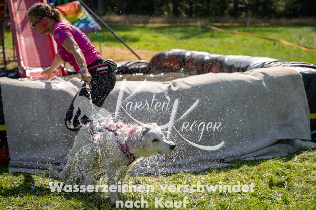 1436_ZZ91202 | kk-dogfotos