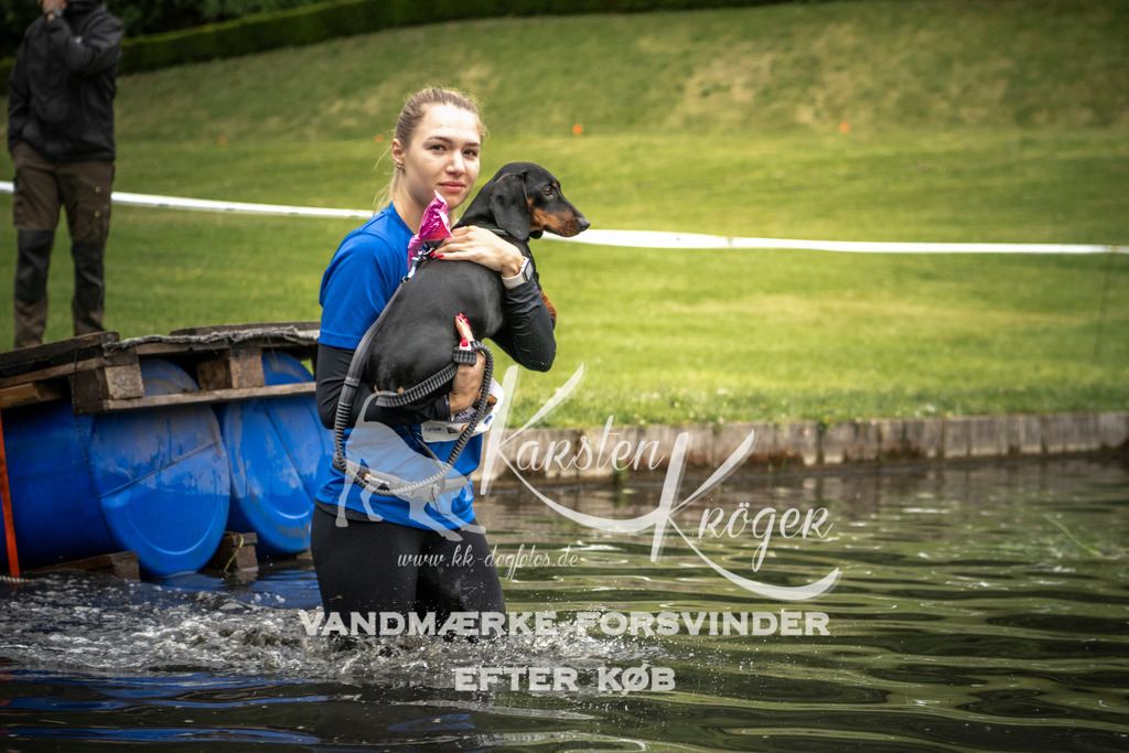 1015_ZZ95402 | kk-dogfotos