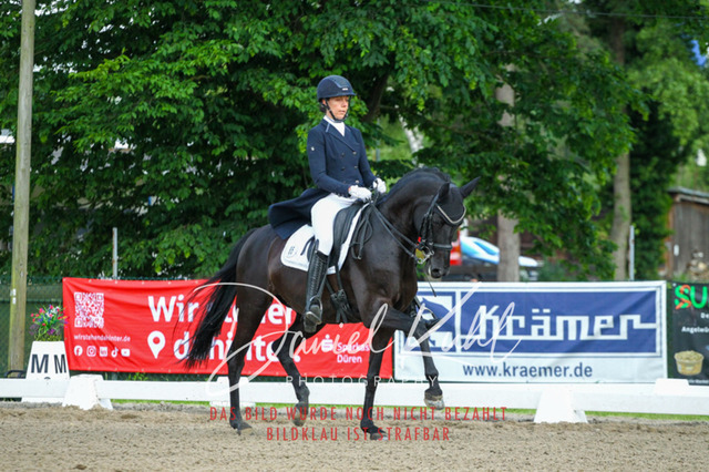 DKP41665 | Turnierfotos kaufen im Webshop von Daniel Kuhl Photography – entdecke professionelle Reitsportfotos aus Turnieren & Events. Hochwertige Turnierbilder online bestellen & sichern. Jetzt Fotos von Reitsportturnieren kaufen!