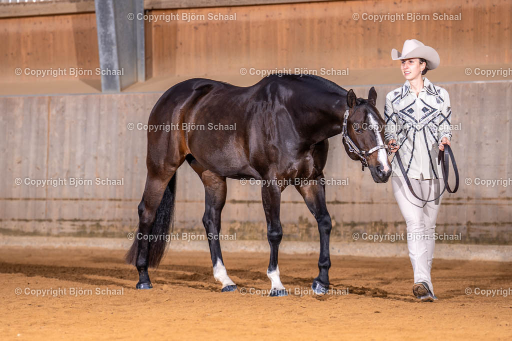 AQS07152 | BS-foto