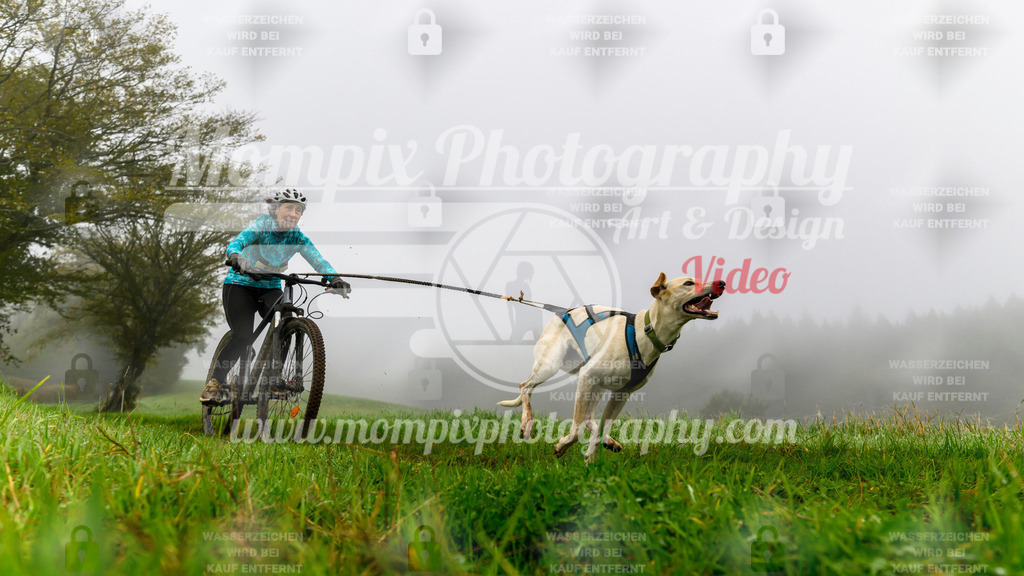 MompixPhotography_20TSB_E5_Bike-96 | PayLife