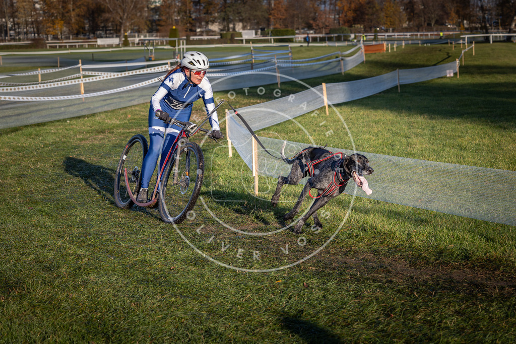 CaniXpix_0L8A3593 | Hundefotografie, Tierfotograf, Pfotenfotografie, Fotoshooting Hund, Hunde Portrait, Hundesport, Hundeportraits, Heideshooting, Hunde, Sportfotograf, Hundefotograf, Turnierhundsport, THS,  - Realisiert mit Pictrs.com