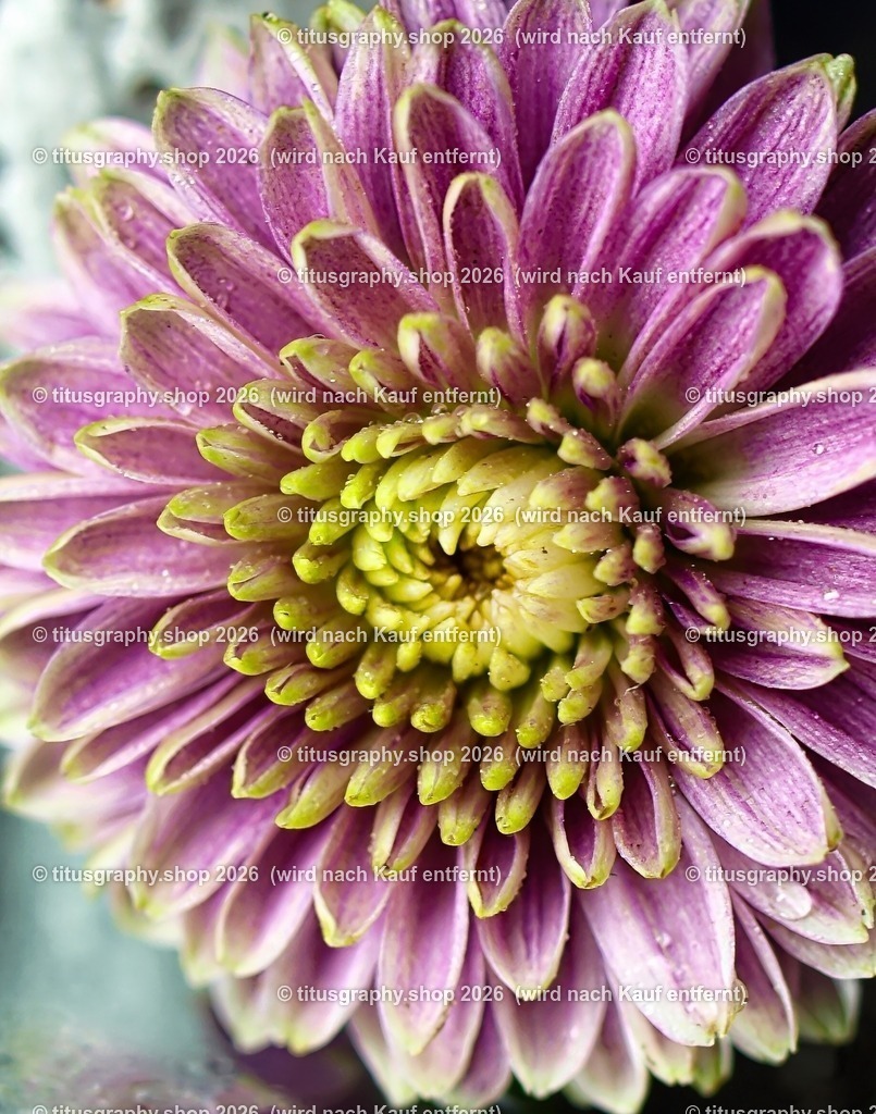 titusgraphy_P7159401-vz-ln_pe-03 | titusgraphy-shop: Geschenkideen mit Qualitätsfotos. titusgraphy-shop: gift ideas with quality photos. titusgraphy-shop: idées cadeaux avec photos de qualité.  - Realisiert mit Pictrs.com