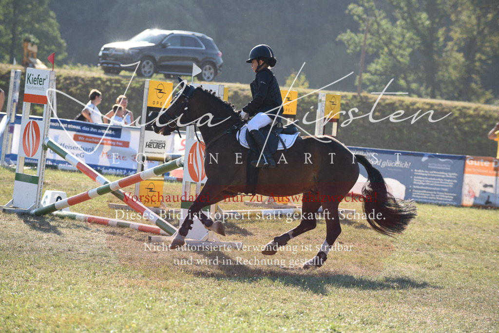 DSC_5601 | Pferde- und Turnierfotografie in Westsachsen. Pferdeportraits, Auftragszeichnungen und intuitive Kunst.