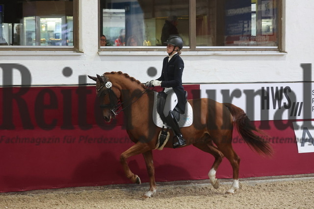 Reutlingen_2024_Prfg.Nr.03_Intermediaire II_Kira Schwegler_Eigenwijs (16) | Alle Fotos der Reiterjournal Fotografin Doris Matthaes im Reiterjournal Online-Fotoshop. - Realisiert mit Pictrs.com