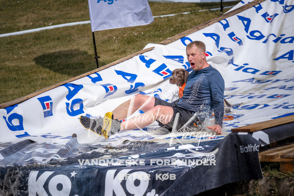 _ZZ907340907 | kk-dogfotos