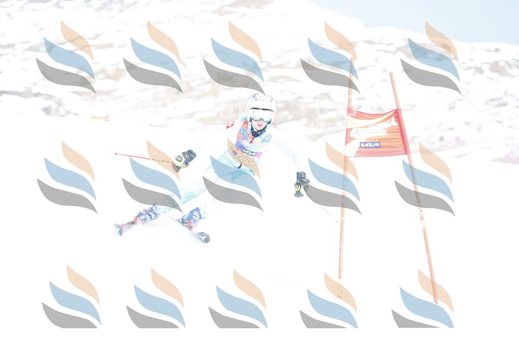 _W1G2945 | holidayphoto