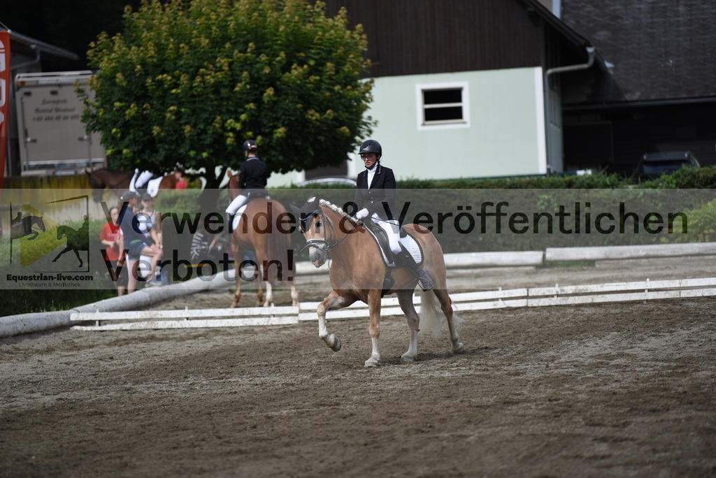 DSC_5064 | equestrian-live-com
