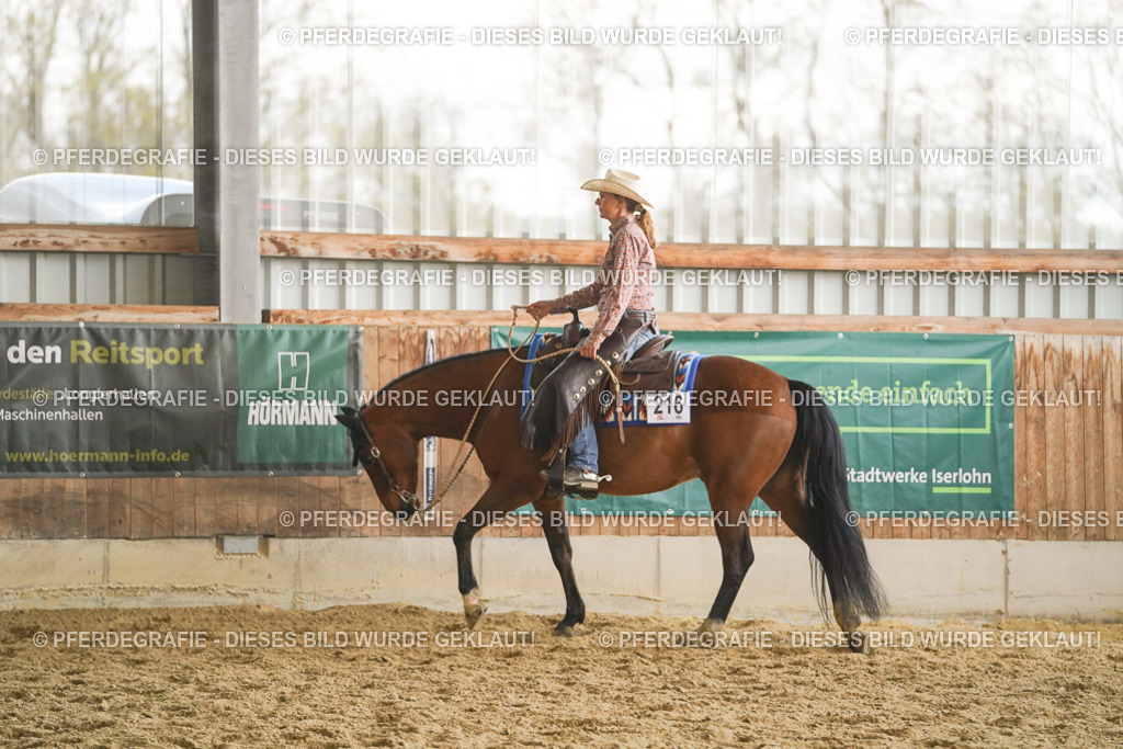 DSC07696 | Pferdegrafie