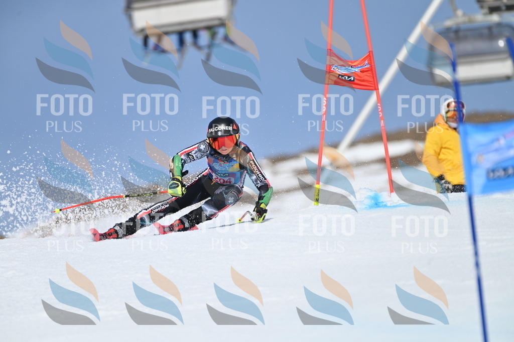 BGV_1032 | holidayphoto