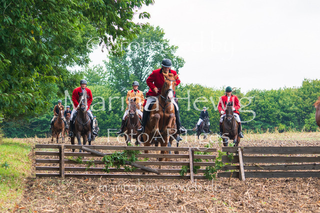 Jagd Kletkamp 26-03048_MarinaHewig | Fotografie, FotoArt, PferdesportArt, Pferdesportfotografie, Landschaftsfotografie, Reisefotografie, Reise, Pferde - Realisiert mit Pictrs.com