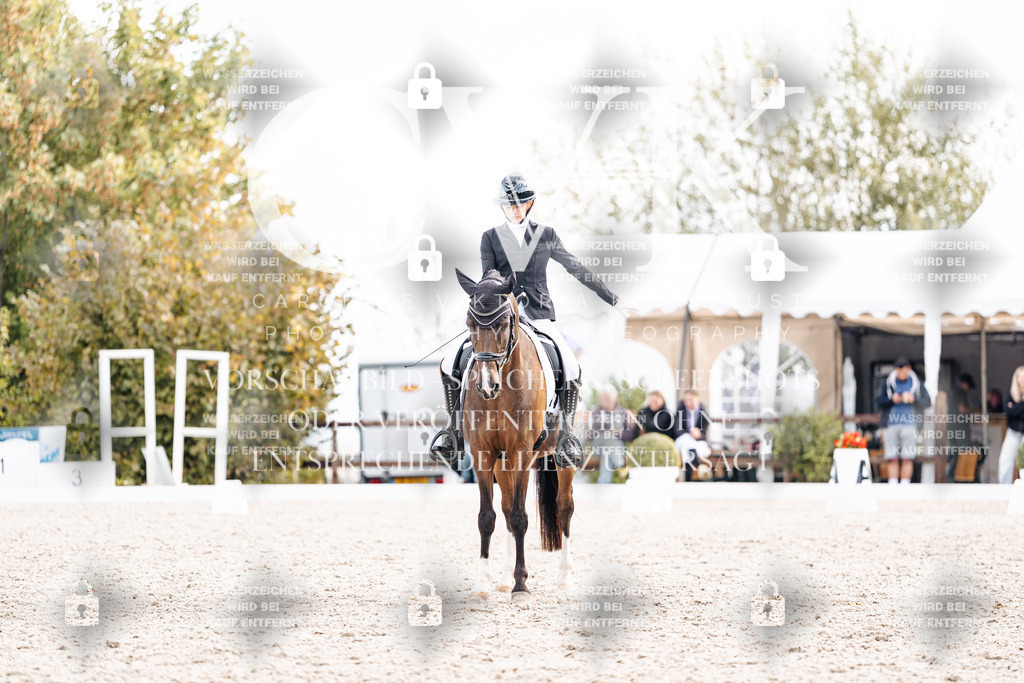 CK901599 | Turnierfotografie Pferdefotografie Trier Rheinland-Pfalz Pferdesport Reitsport Tierfotografie Sportfotografie Pferdevideo Pferdevideografie Equestrianvideography equestrianphotography  - Realisiert mit Pictrs.com