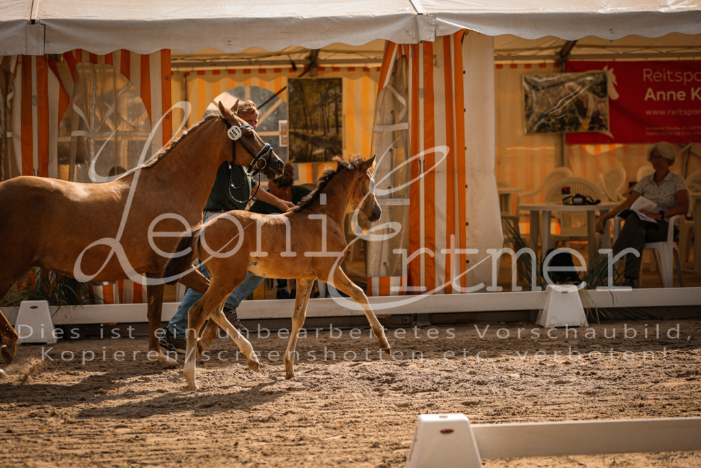 10.DoRP00158 | Leoni Ertmer Photography - Realisiert mit Pictrs.com