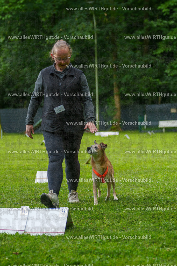 @allesWIRTHgut_Tierfotografie - www.allesWIRTHgut.de - 7R502060 | Professionelle Tierfotografie in Mönchengladbach von Daniel Wirth (allesWIRTHgut). Liebevolle & natürliche Bilder von Hunden & Katzen für unvergessliche Erinnerungen.