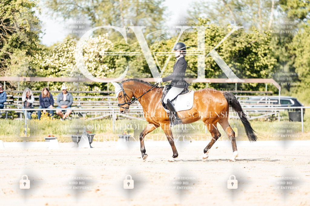 CK900058 | Turnierfotografie Pferdefotografie Trier Rheinland-Pfalz Pferdesport Reitsport Tierfotografie Sportfotografie Pferdevideo Pferdevideografie Equestrianvideography equestrianphotography  - Realisiert mit Pictrs.com
