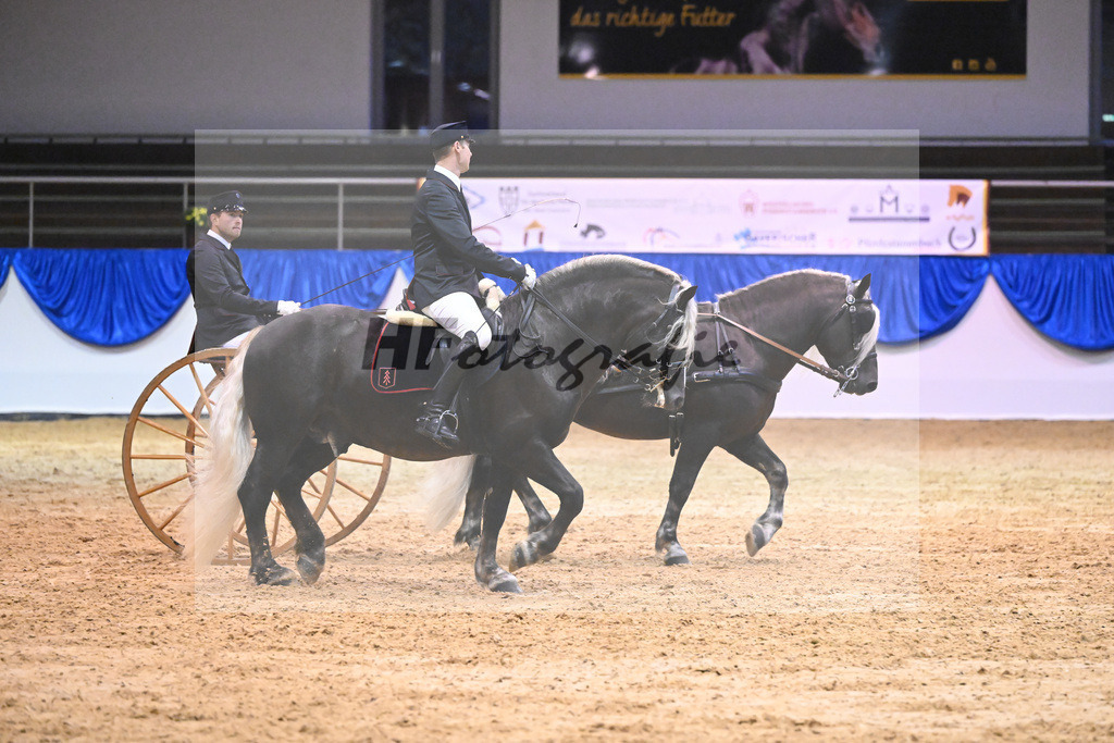 Schauprogramm_54222496 | hf-fotografie - Realisiert mit Pictrs.com