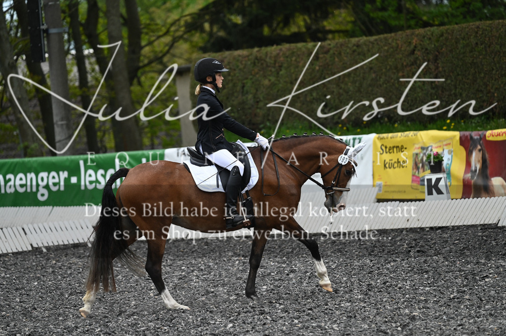 20230512_JK-Röhrsdorf-07-318 | Pferde- und Turnierfotografie in Westsachsen. Pferdeportraits, Auftragszeichnungen und intuitive Kunst.