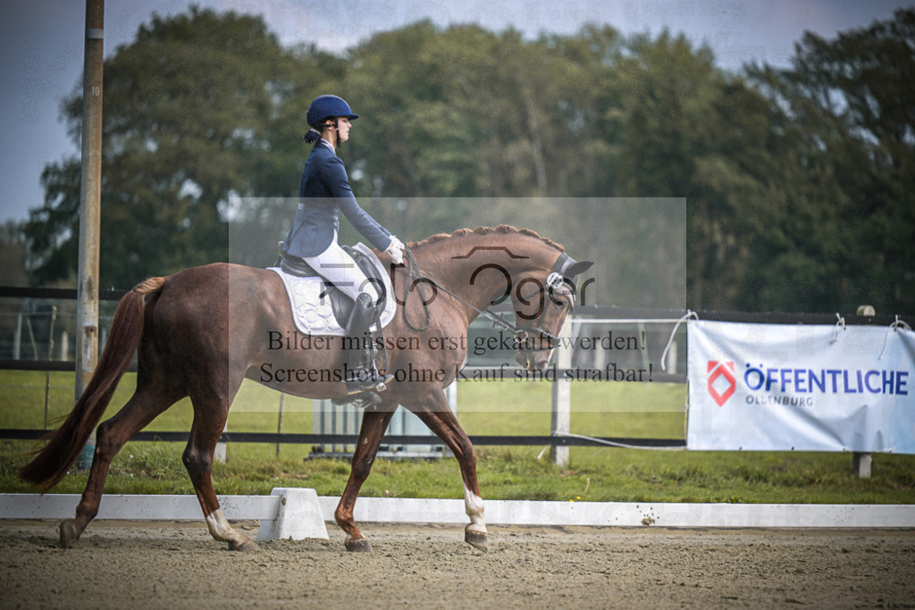 DOS_B626 | Entdecke hochwertige Reitturnierfotos von Foto Oger. Professionell, emotional und authentisch – jetzt Lieblingsmomente im Shop bestellen.Deutschlandweite Turnierfotografie. - Realisiert mit Pictrs.com