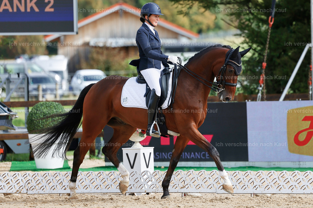 05-109-DRESSUR M_  -StoibPH-4932 | working equitationturnier fotograf videograf stoibphotography marixx film working equitation deutschland reitsport turnierfotografie eventfotografie equestrian events