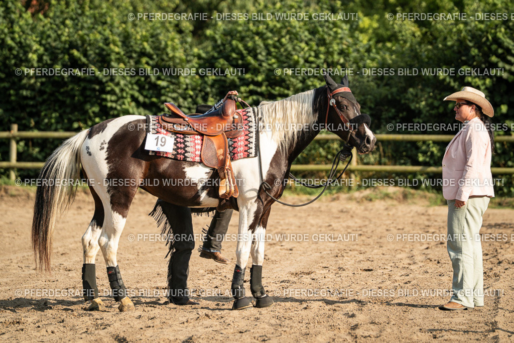 DSC05598 | Pferdegrafie