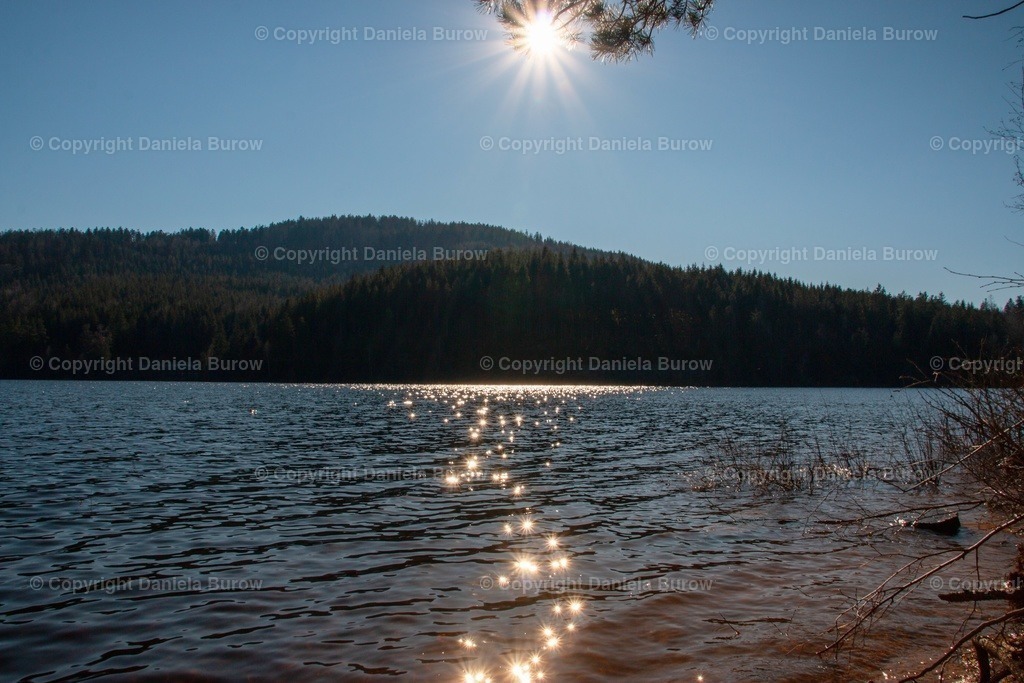 Sternensee | danielaburow - Realisiert mit Pictrs.com
