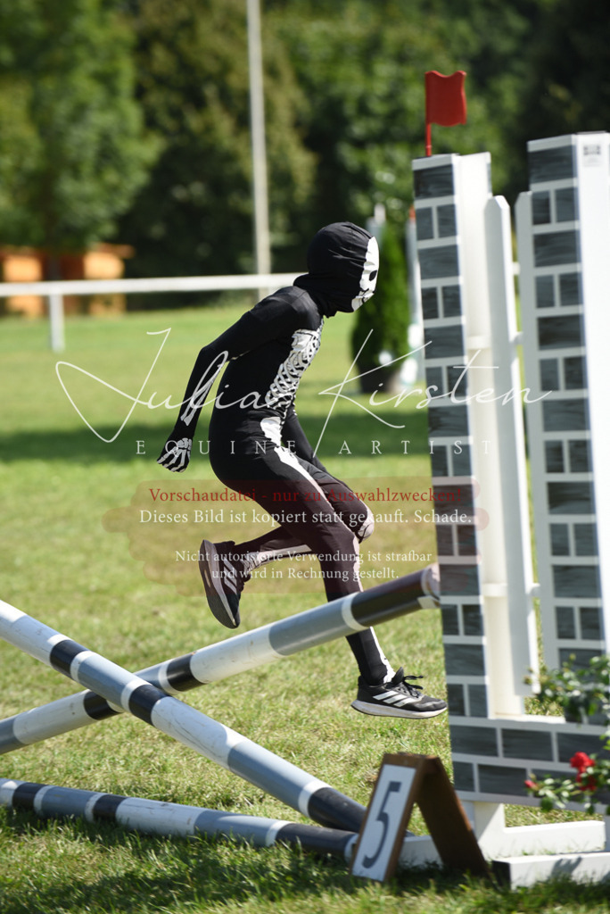 DSC_0367 | Pferde- und Turnierfotografie in Westsachsen. Pferdeportraits, Auftragszeichnungen und intuitive Kunst.