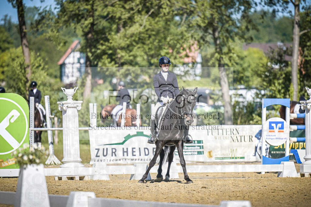 DOS_7341 | Entdecke hochwertige Reitturnierfotos von Foto Oger. Professionell, emotional und authentisch – jetzt Lieblingsmomente im Shop bestellen.Deutschlandweite Turnierfotografie. - Realisiert mit Pictrs.com