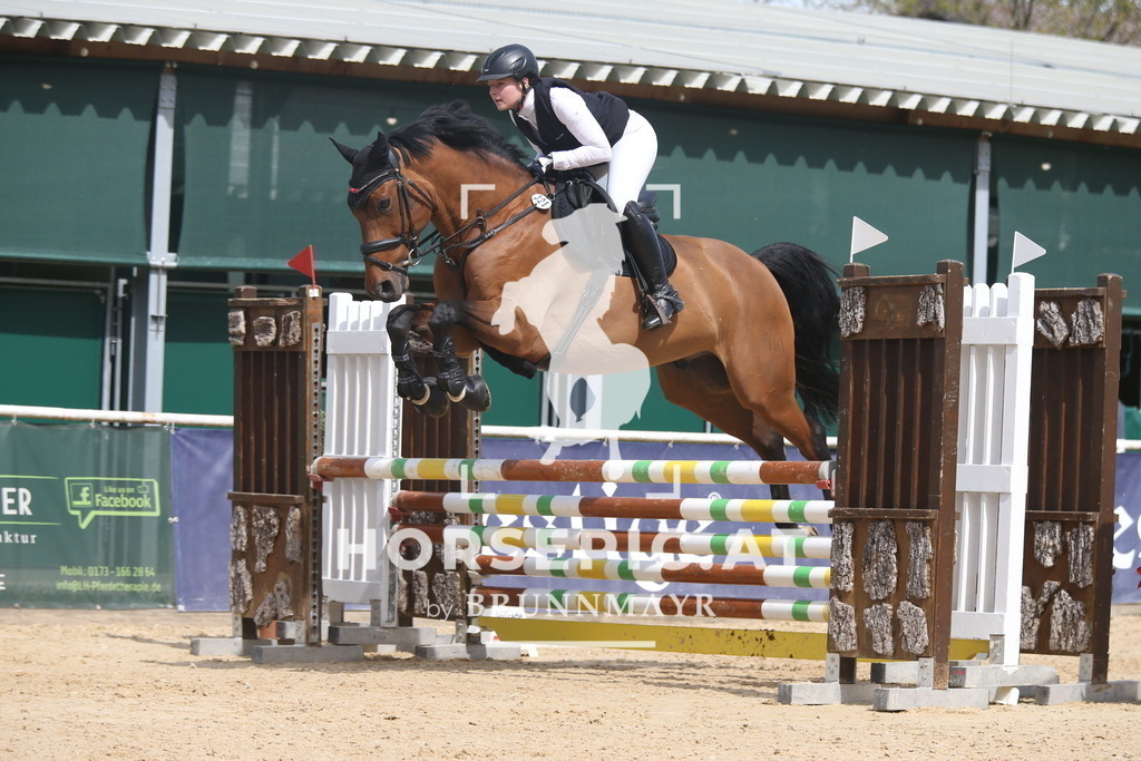 AS8V6577 | Willkommen bei Brunnmayr - Design & Fotografie – Ihrem Spezialisten für Reitturniere und Pferdeveranstaltungen in Oberösterreich, Salzburg und Bayern! Seit über 17 Jahren sind wir leidenschaftlich dabei.